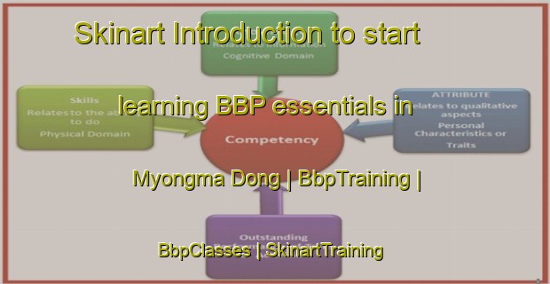 Skinart Introduction to start learning BBP essentials in Myongma Dong | BbpTraining | BbpClasses | SkinartTraining-Republic of Korea